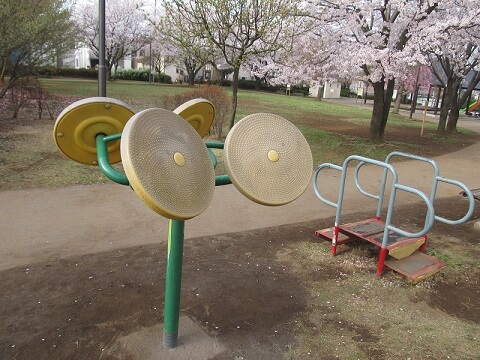 久保新田さくら公園の運動遊具と桜