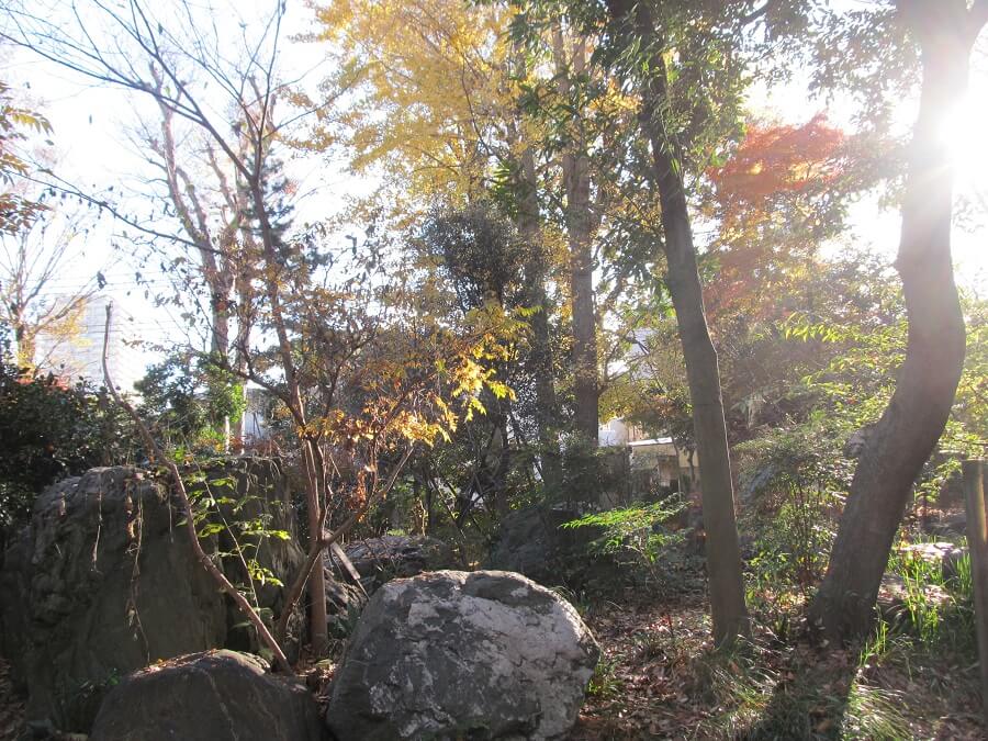 石庭の森緑地の石と紅葉