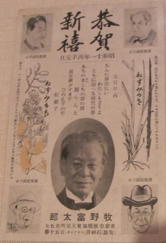 牧野富太郎博士の年賀状(昭和11年：1936年)