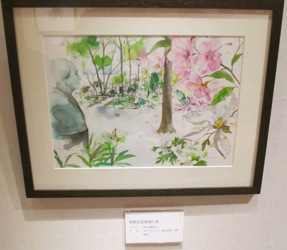佐々木香菜子さんが描いた「牧野記念庭園の春」