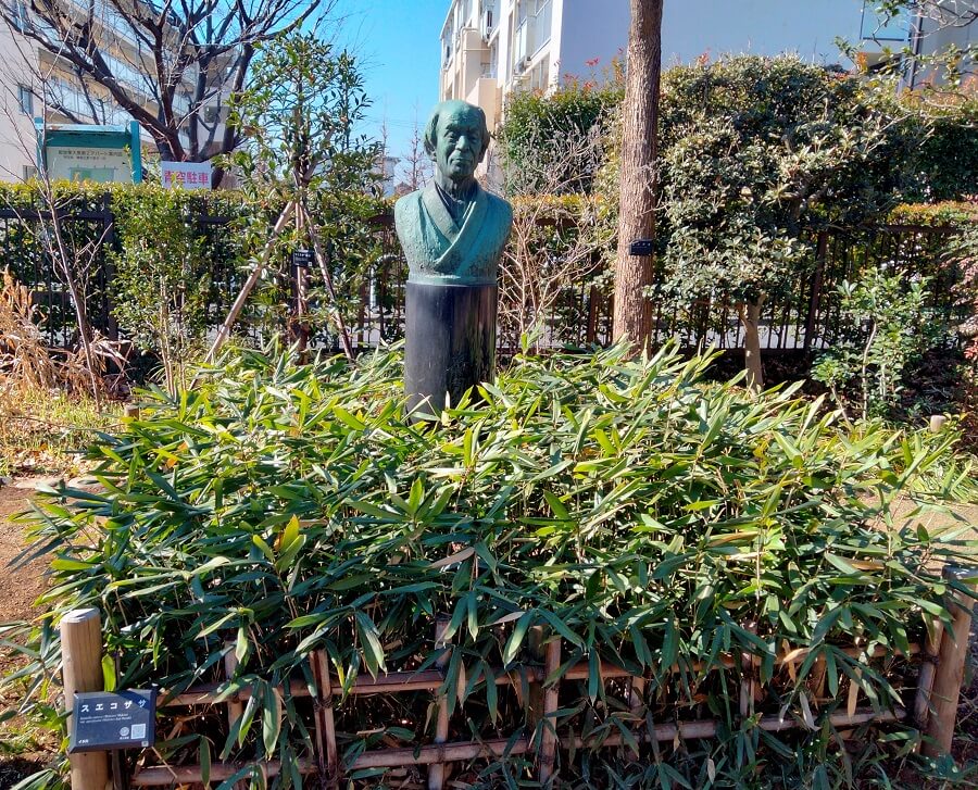 スエコザサに囲まれた牧野富太郎博士の銅像