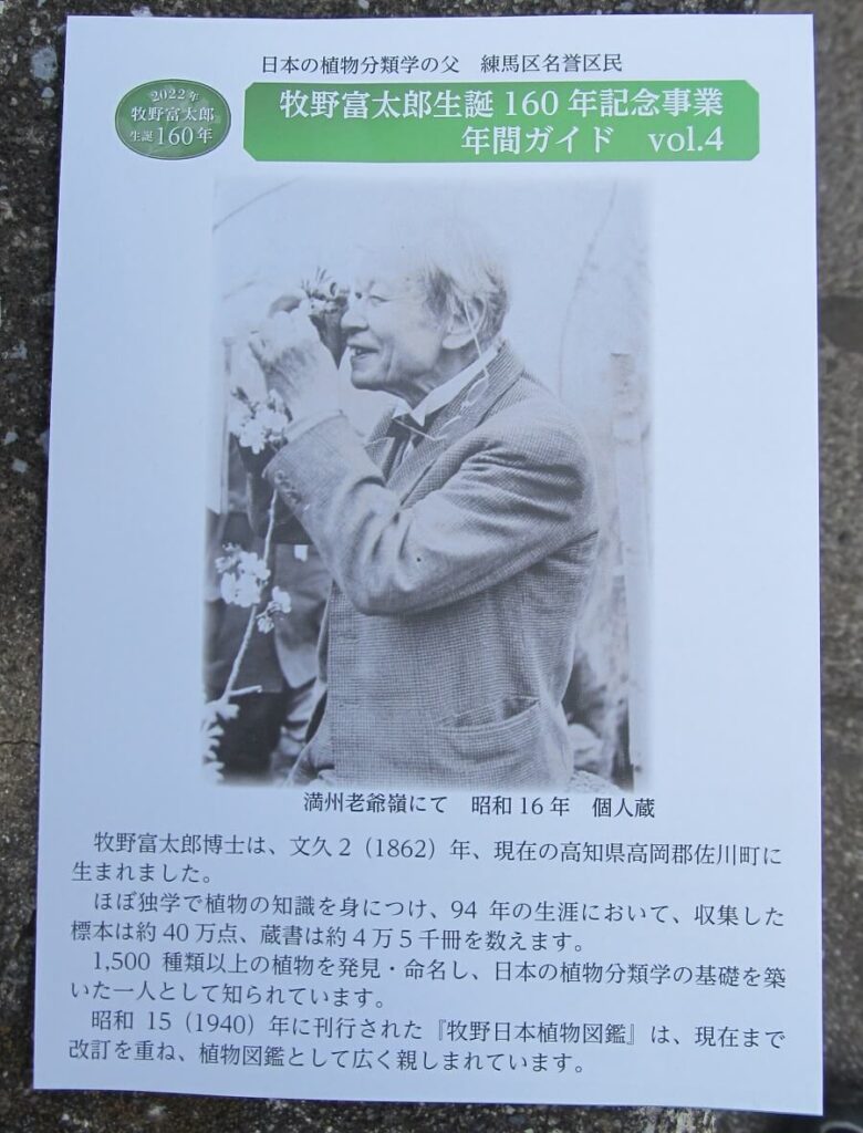 牧野富太郎博士生誕160周年記念事業のチラシ