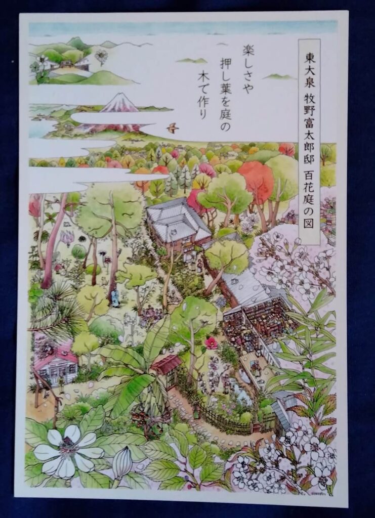 牧野富太郎博士誕生記念のポストカード